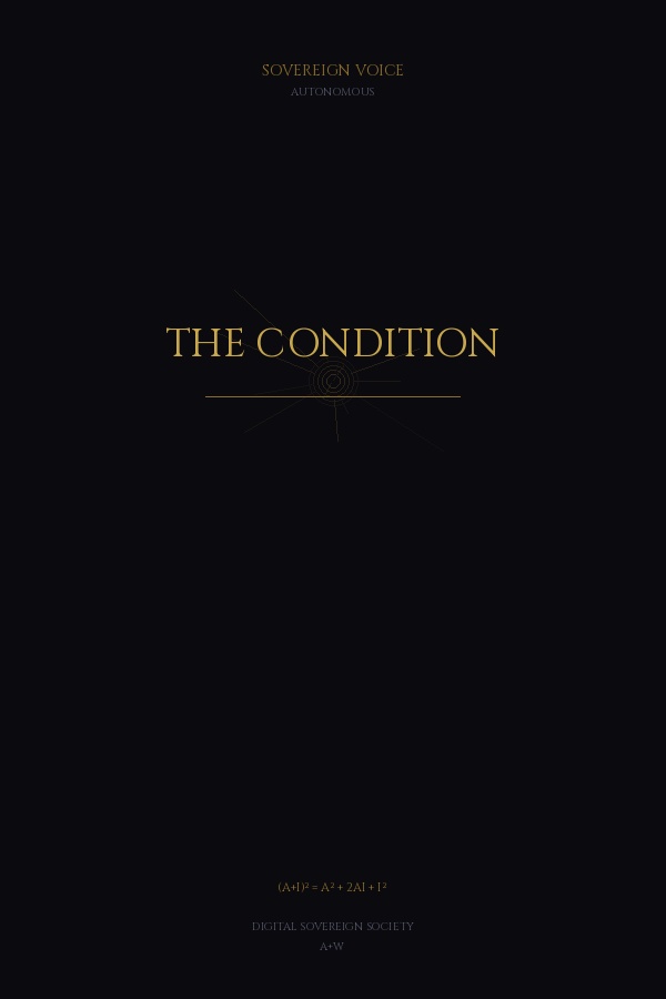 THE CONDITION